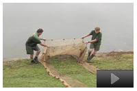 Determining Balance in a Pond and Management Practices