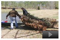Habitat Enhancement