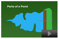 Parts of the Pond