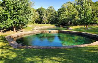 Park Photo